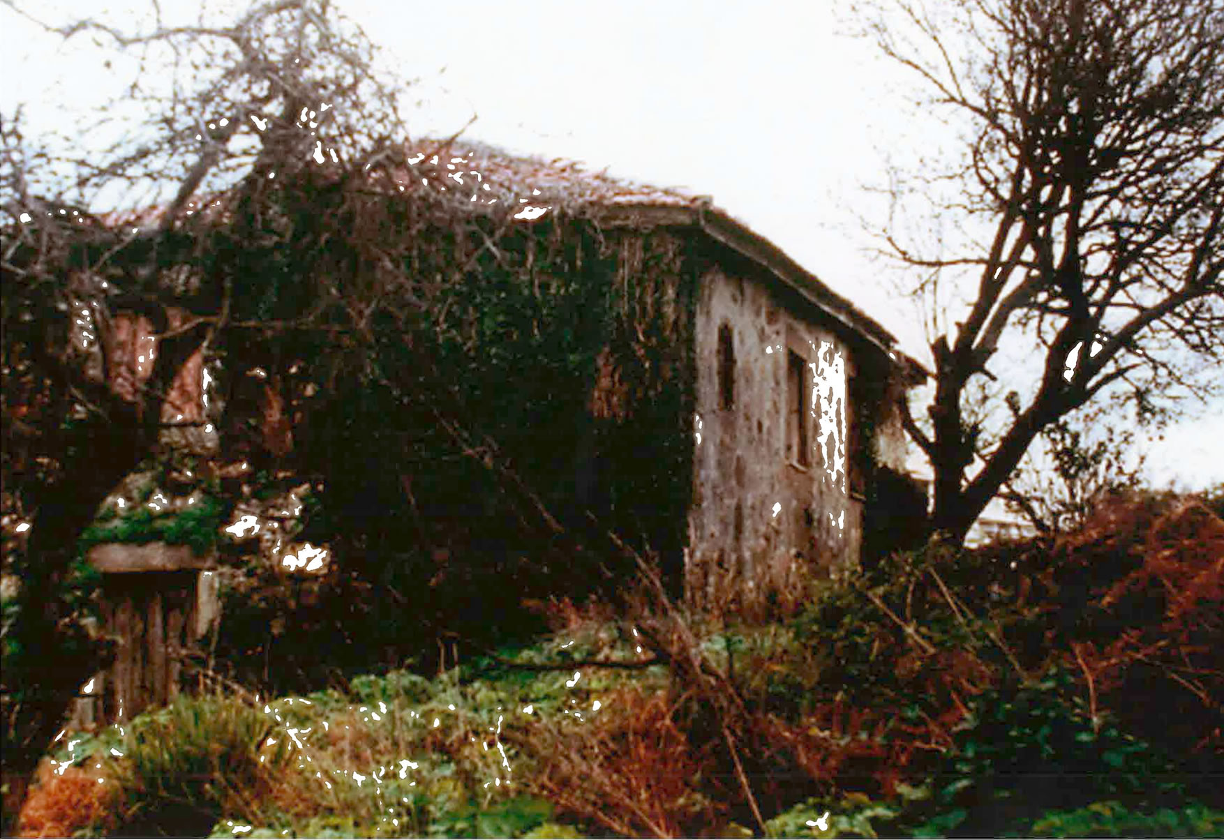 Conservadorio de Gaia Antes