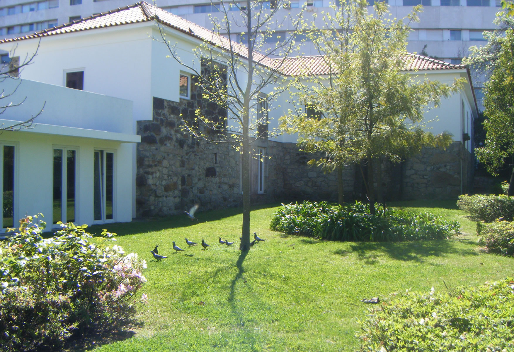Conservadorio de Gaia Depois